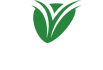Vetero-Logo-Demowebsite